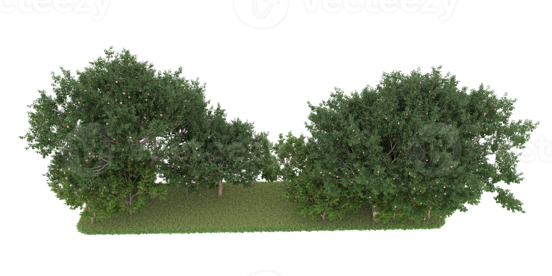 Realistic forest isolated on transparent background. 3d rendering - illustration png