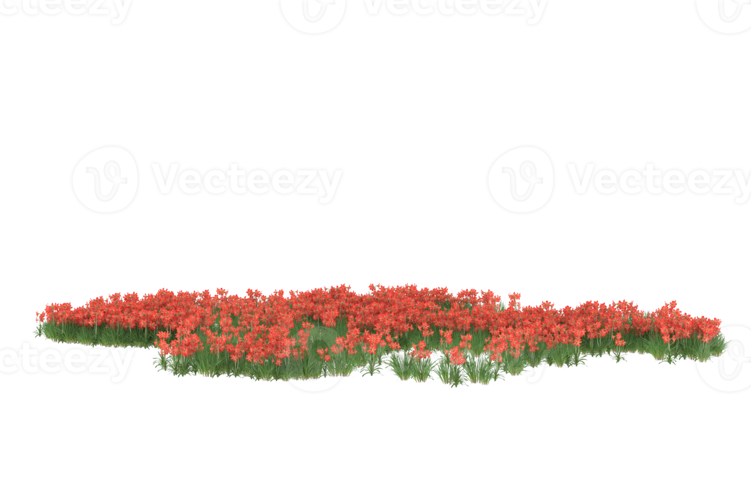 realistisk lövverk isolerat på transparent bakgrund. 3d tolkning - illustration png