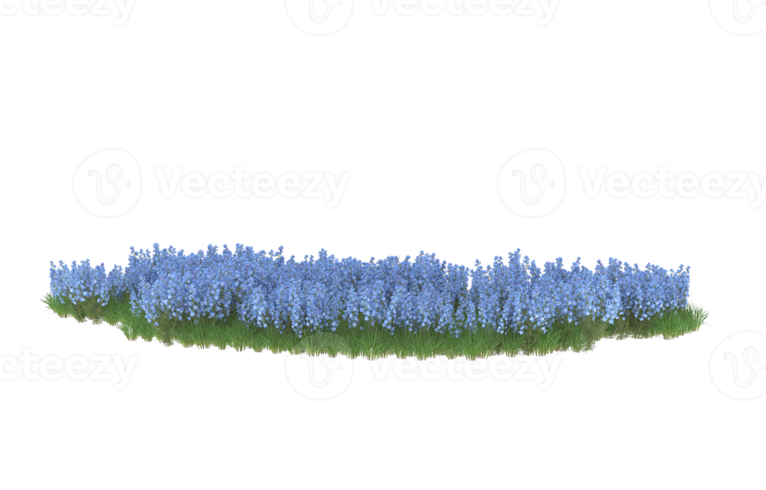 realistisk lövverk isolerat på transparent bakgrund. 3d tolkning - illustration png