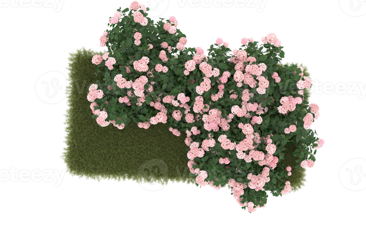 Realistic foliage isolated on transparent background. 3d rendering - illustration png