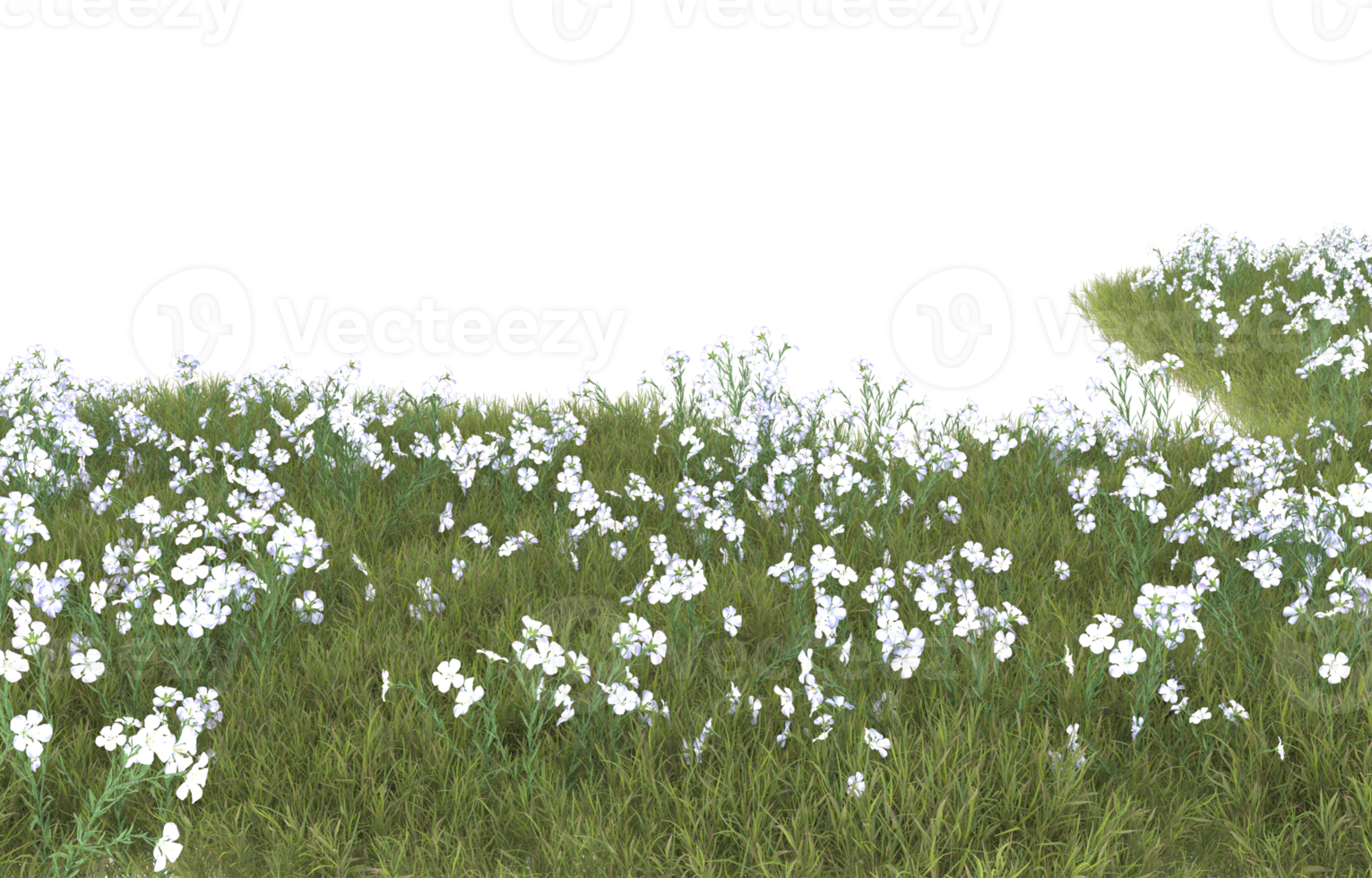 Realistic foliage isolated on transparent background. 3d rendering - illustration png