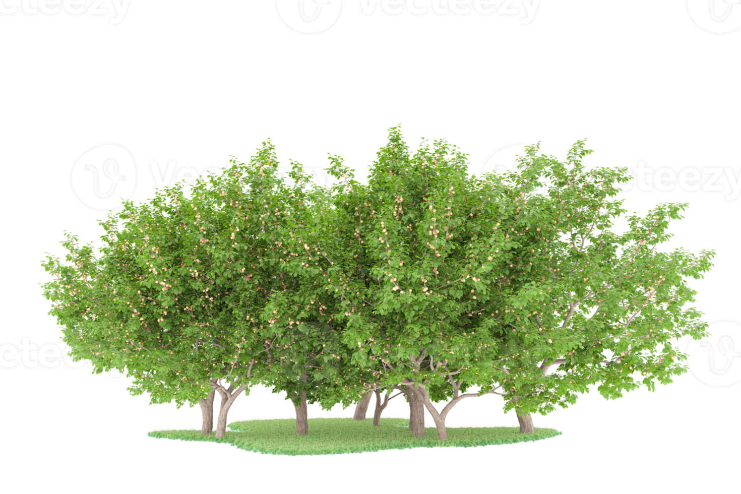 Realistic forest isolated on transparent background. 3d rendering - illustration png