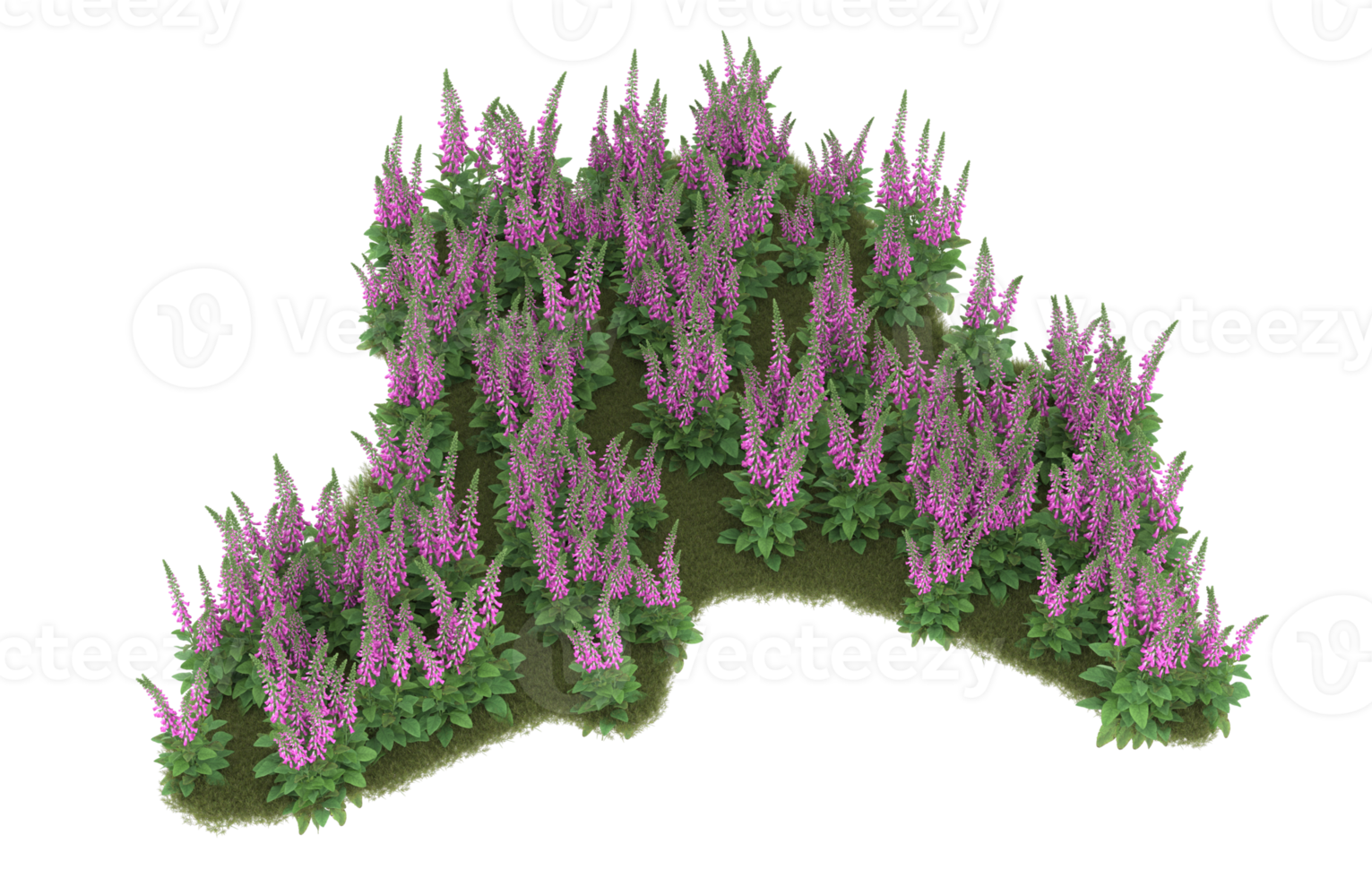 Realistic foliage isolated on transparent background. 3d rendering - illustration png