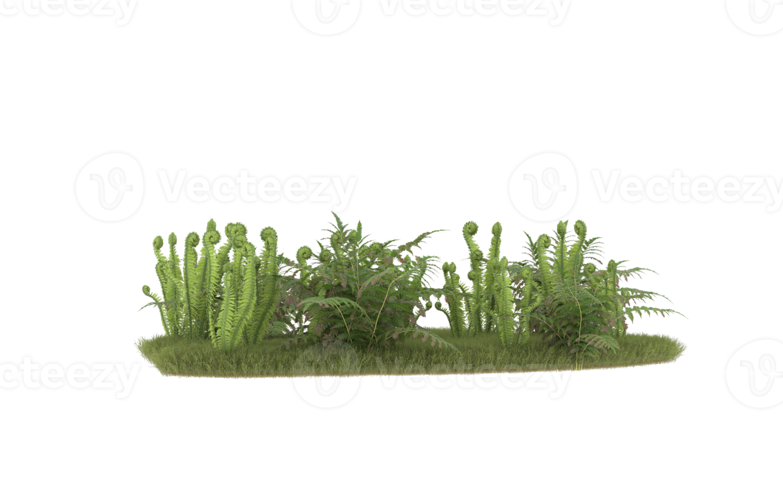 Realistic foliage isolated on transparent background. 3d rendering - illustration png
