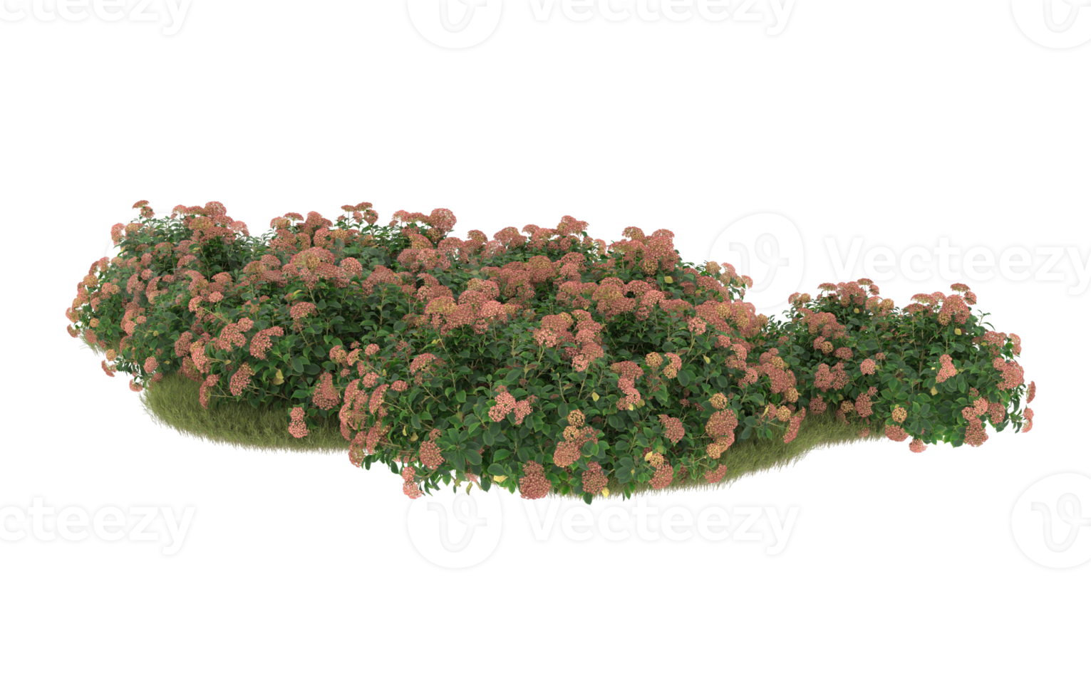 Realistic foliage isolated on transparent background. 3d rendering - illustration png
