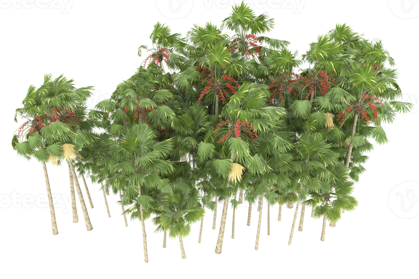 Palm trees isolated on transparent background. 3d rendering - illustration png