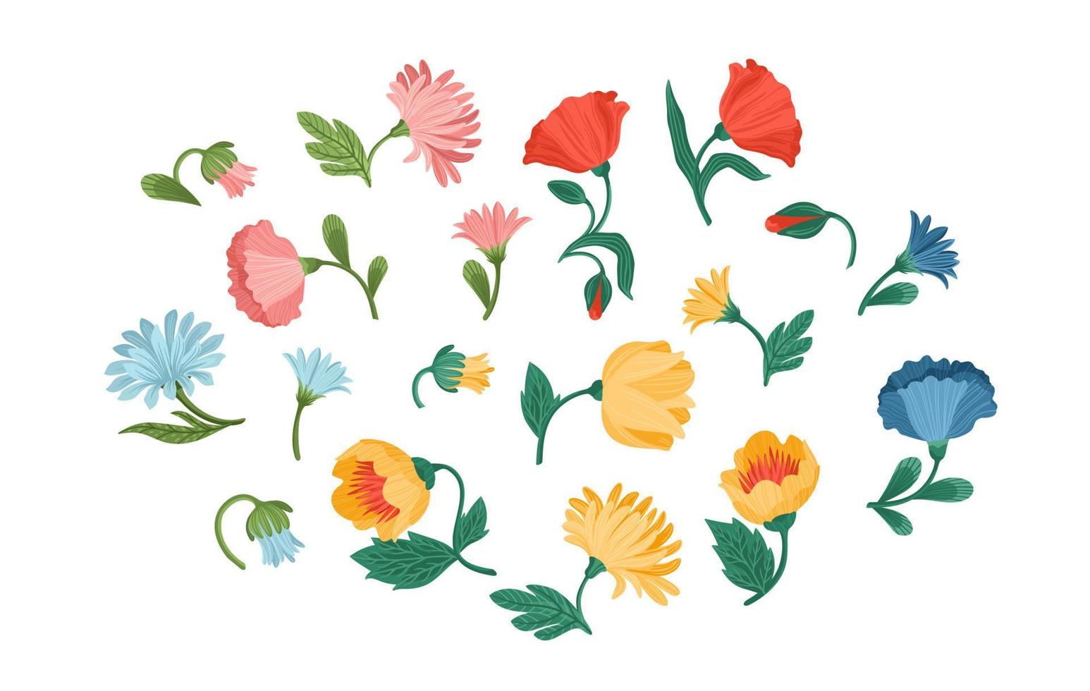 conjunto de elementos aislados de diseño floral. flores, capullos, tallos, hojas. ilustraciones vectoriales vector