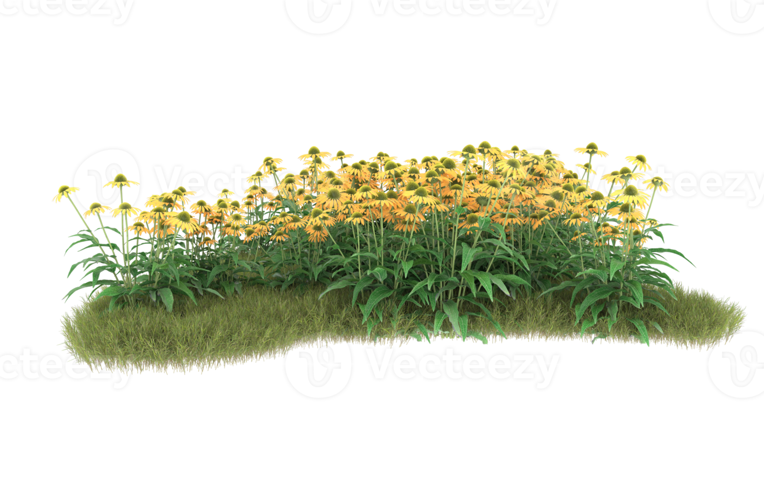 Realistic foliage isolated on transparent background. 3d rendering - illustration png