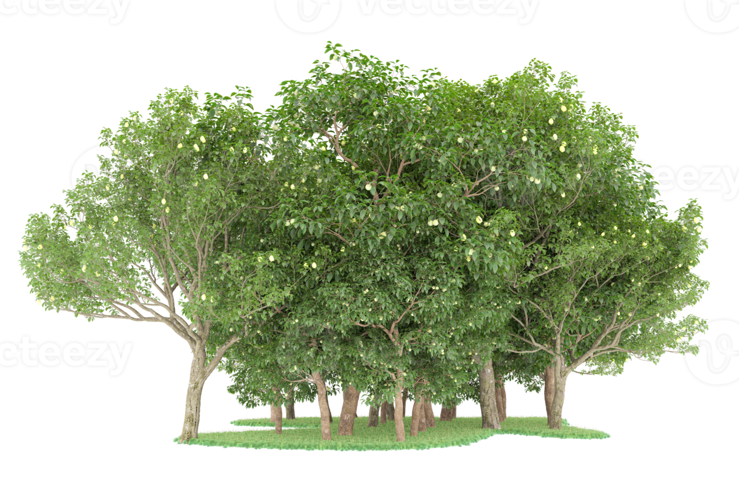 Realistic forest isolated on transparent background. 3d rendering - illustration png