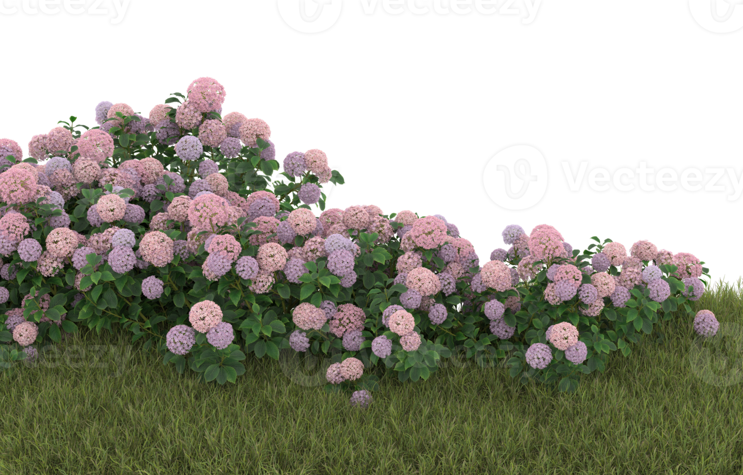 Realistic foliage isolated on transparent background. 3d rendering - illustration png