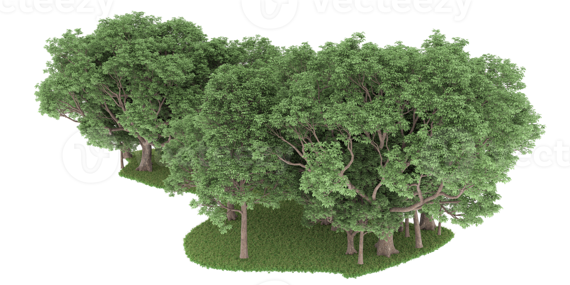 Realistic forest isolated on transparent background. 3d rendering - illustration png