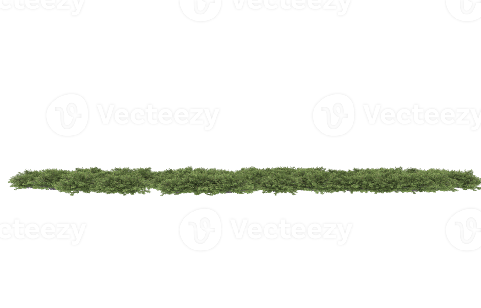 Realistic foliage isolated on transparent background. 3d rendering - illustration png