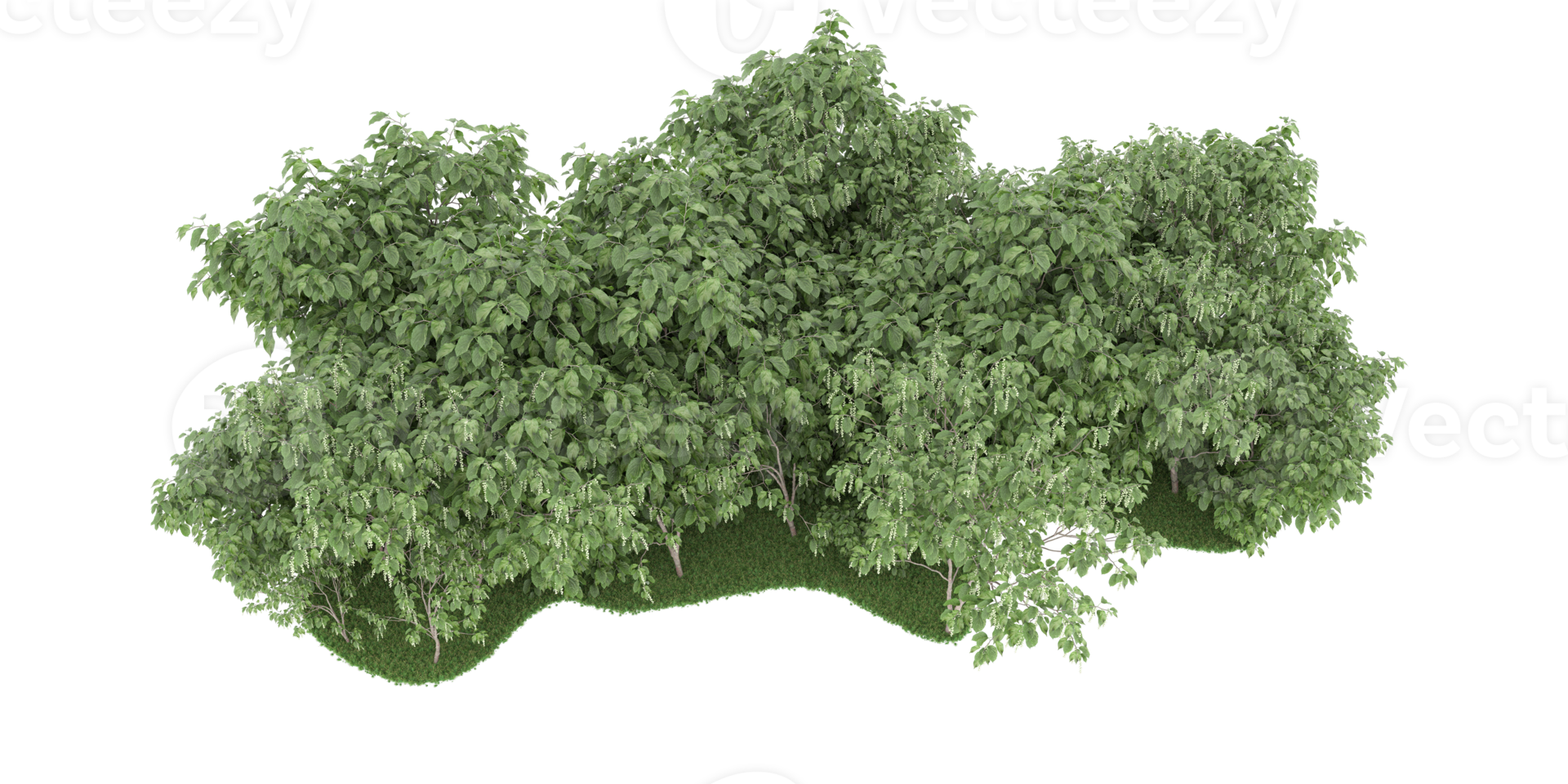 Realistic forest isolated on transparent background. 3d rendering - illustration png