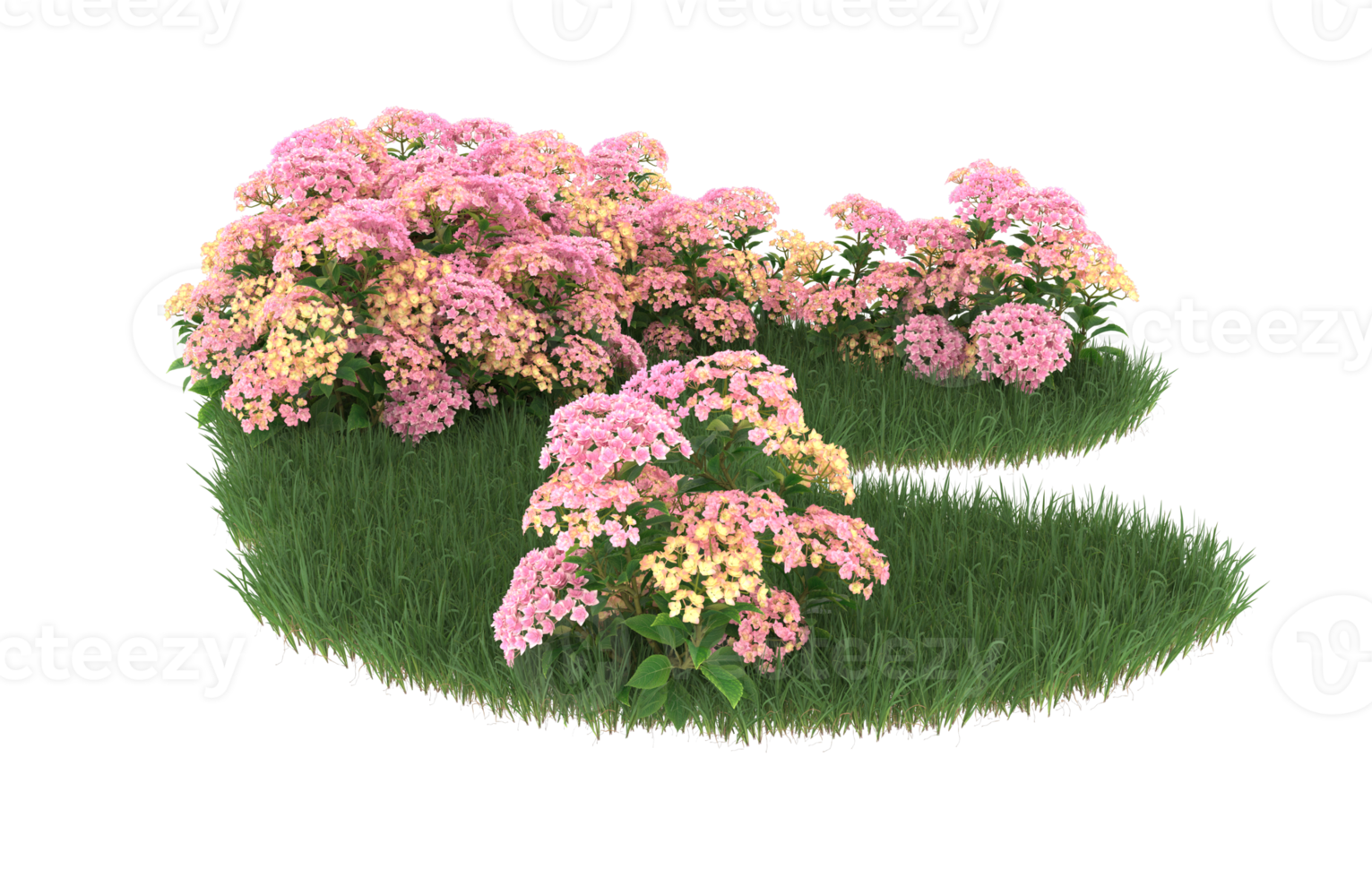 Realistic foliage isolated on transparent background. 3d rendering - illustration png