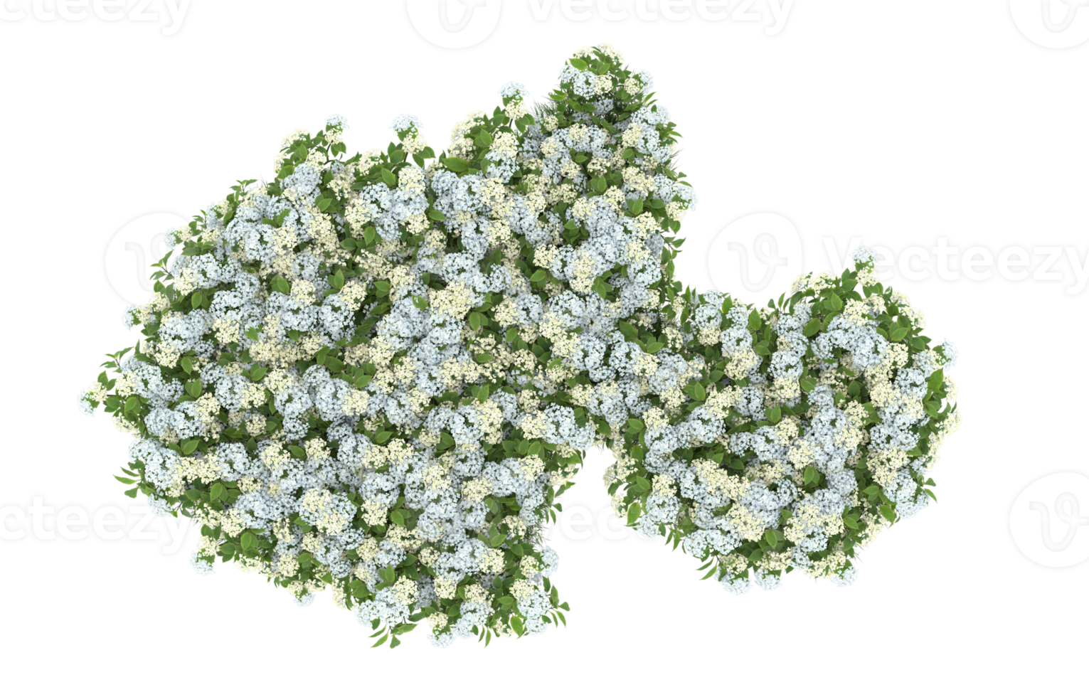 Realistic foliage isolated on transparent background. 3d rendering - illustration png