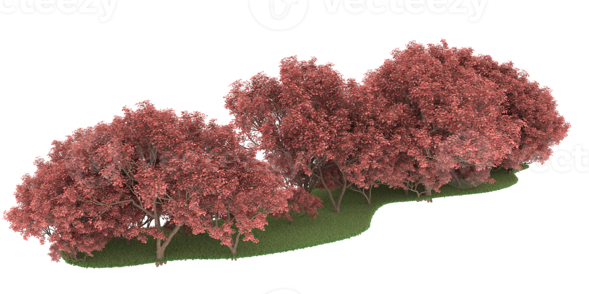 Realistic forest isolated on transparent background. 3d rendering - illustration png
