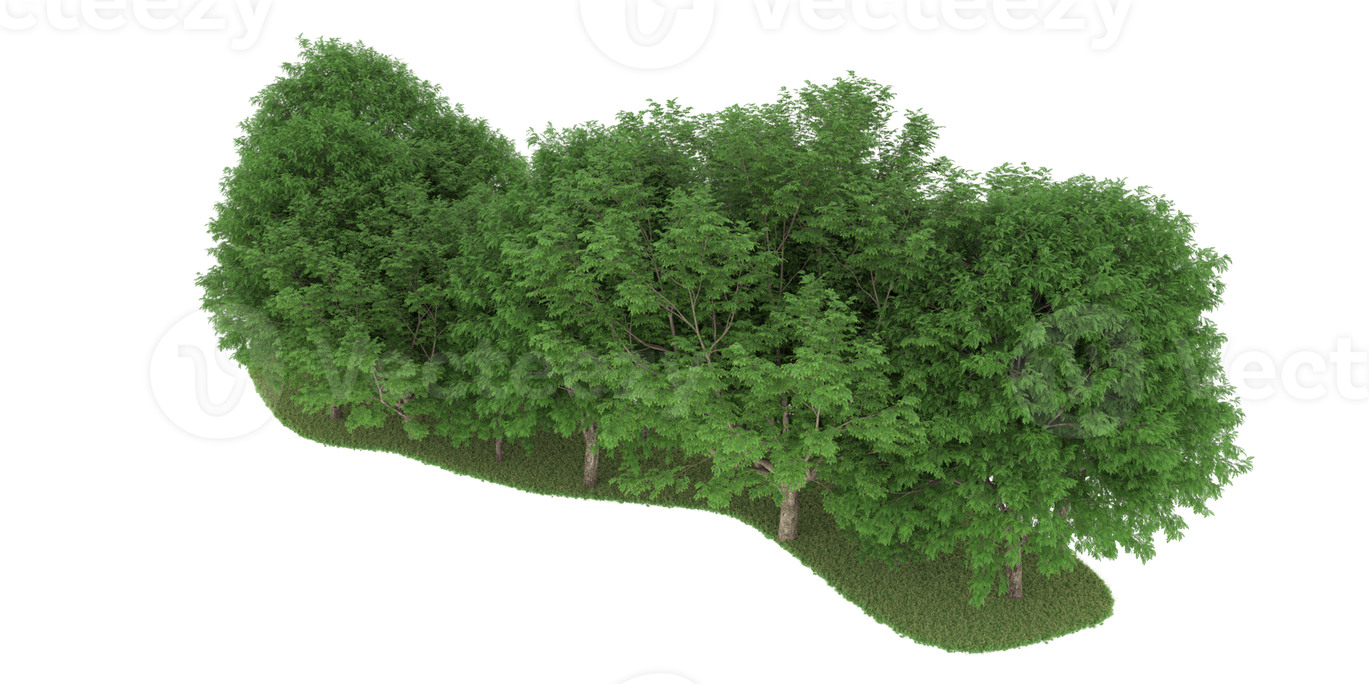 Realistic forest isolated on transparent background. 3d rendering - illustration png