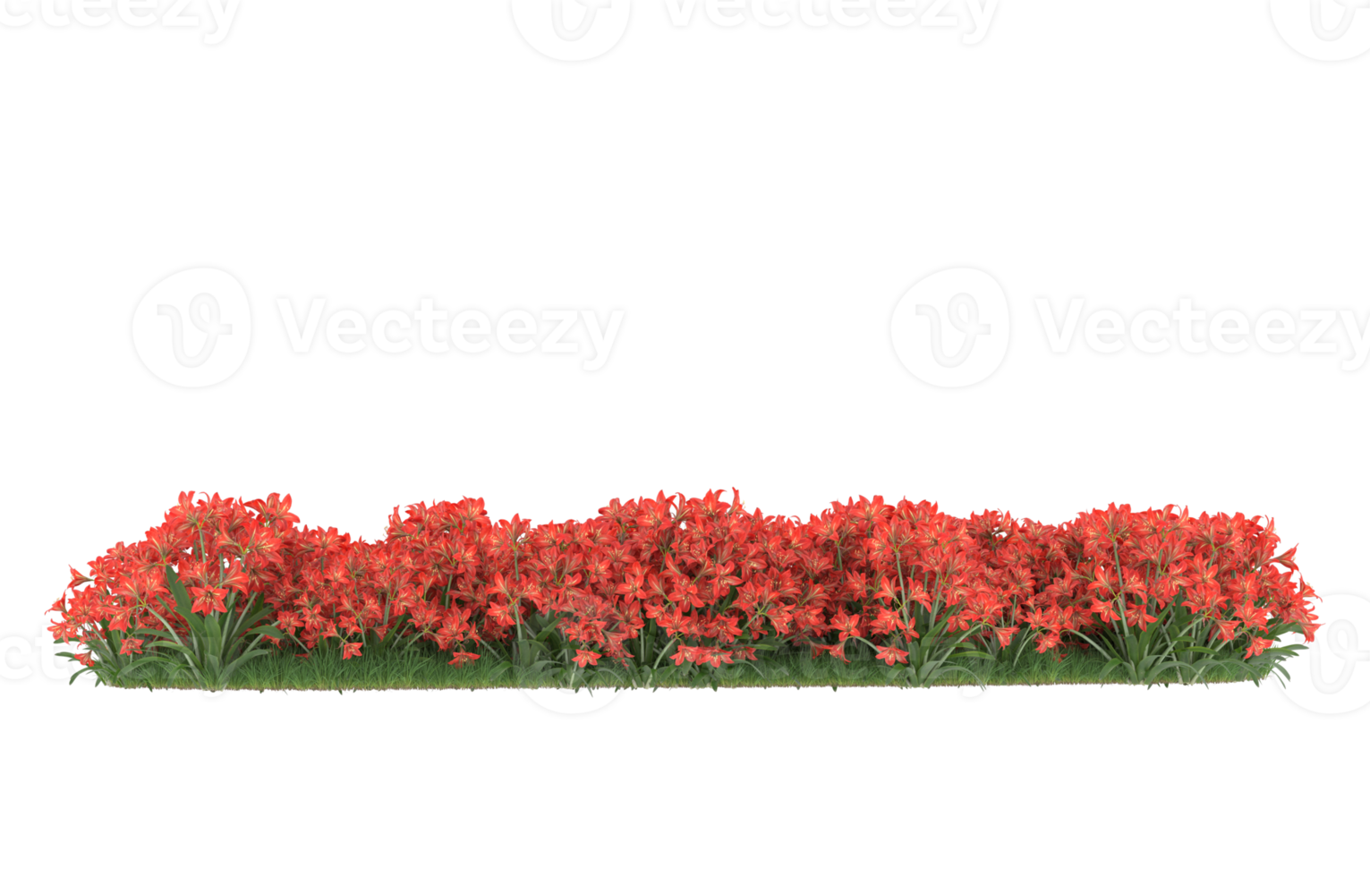 Realistic foliage isolated on transparent background. 3d rendering - illustration png