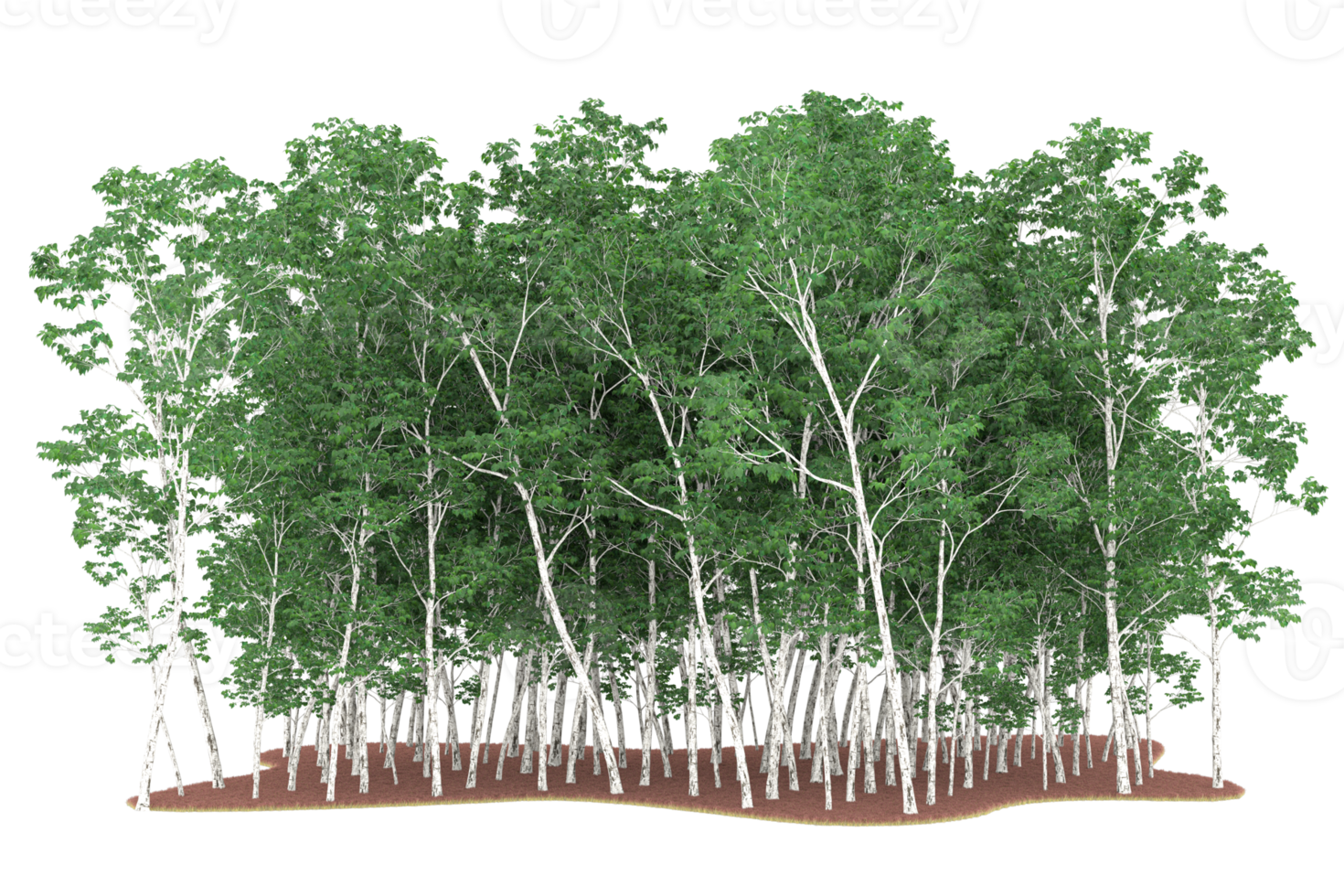 Realistic forest isolated on transparent background. 3d rendering - illustration png
