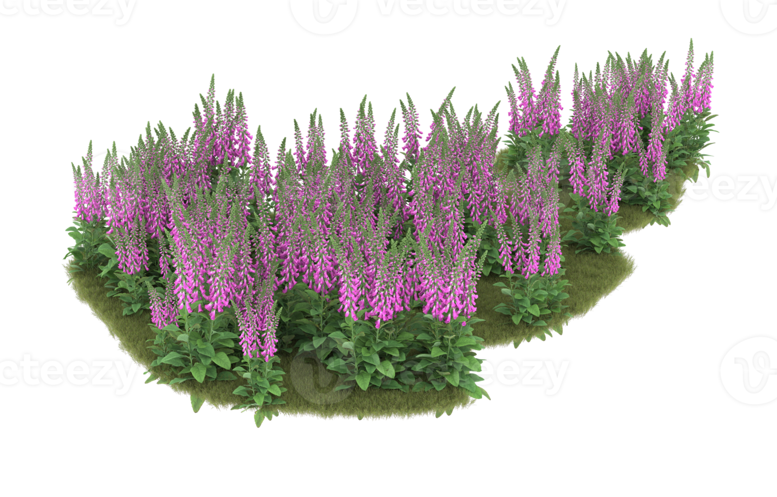 Realistic foliage isolated on transparent background. 3d rendering - illustration png