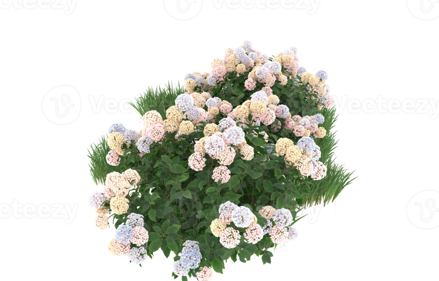 Realistic foliage isolated on transparent background. 3d rendering - illustration png