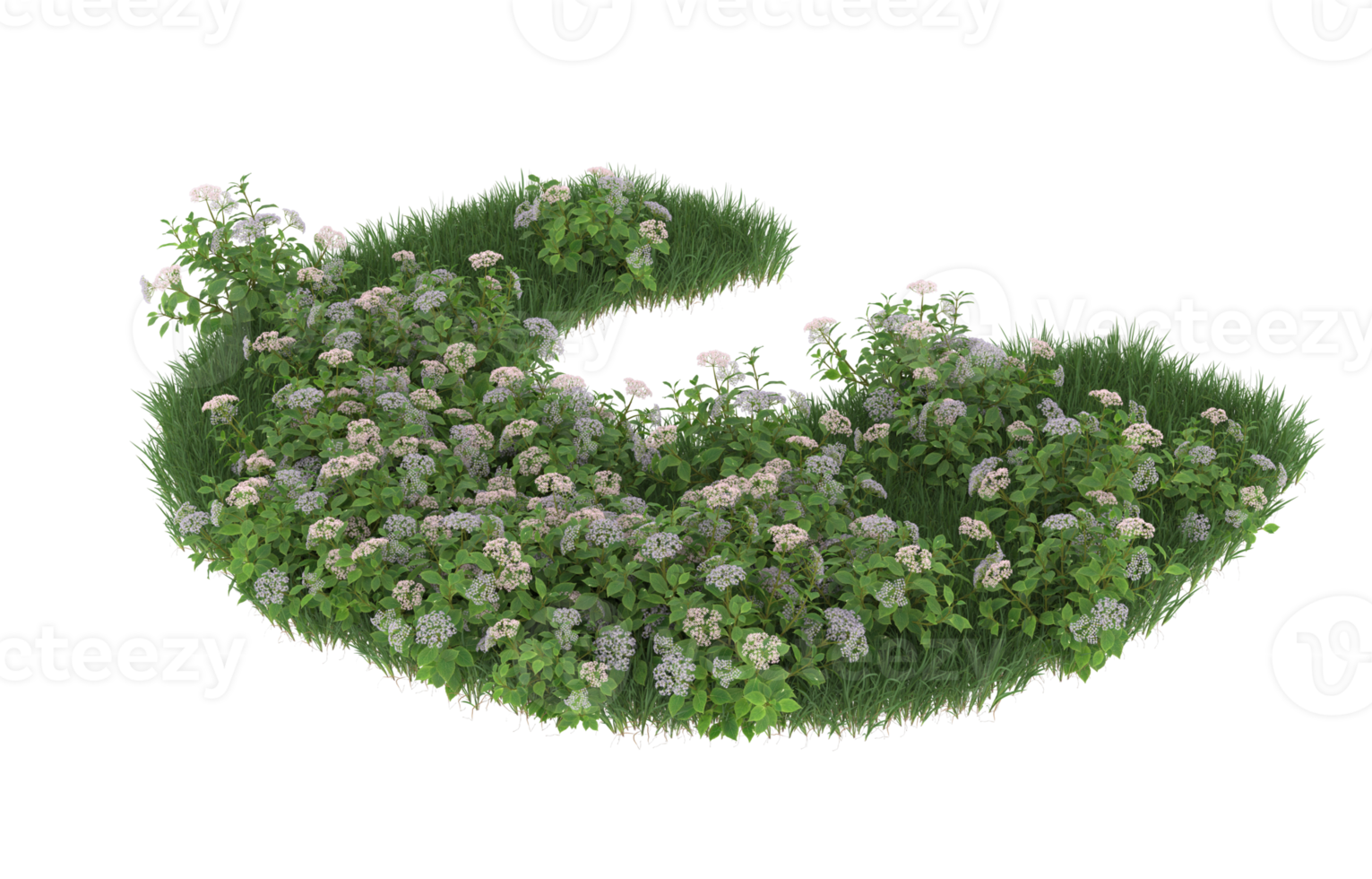 Realistic foliage isolated on transparent background. 3d rendering - illustration png