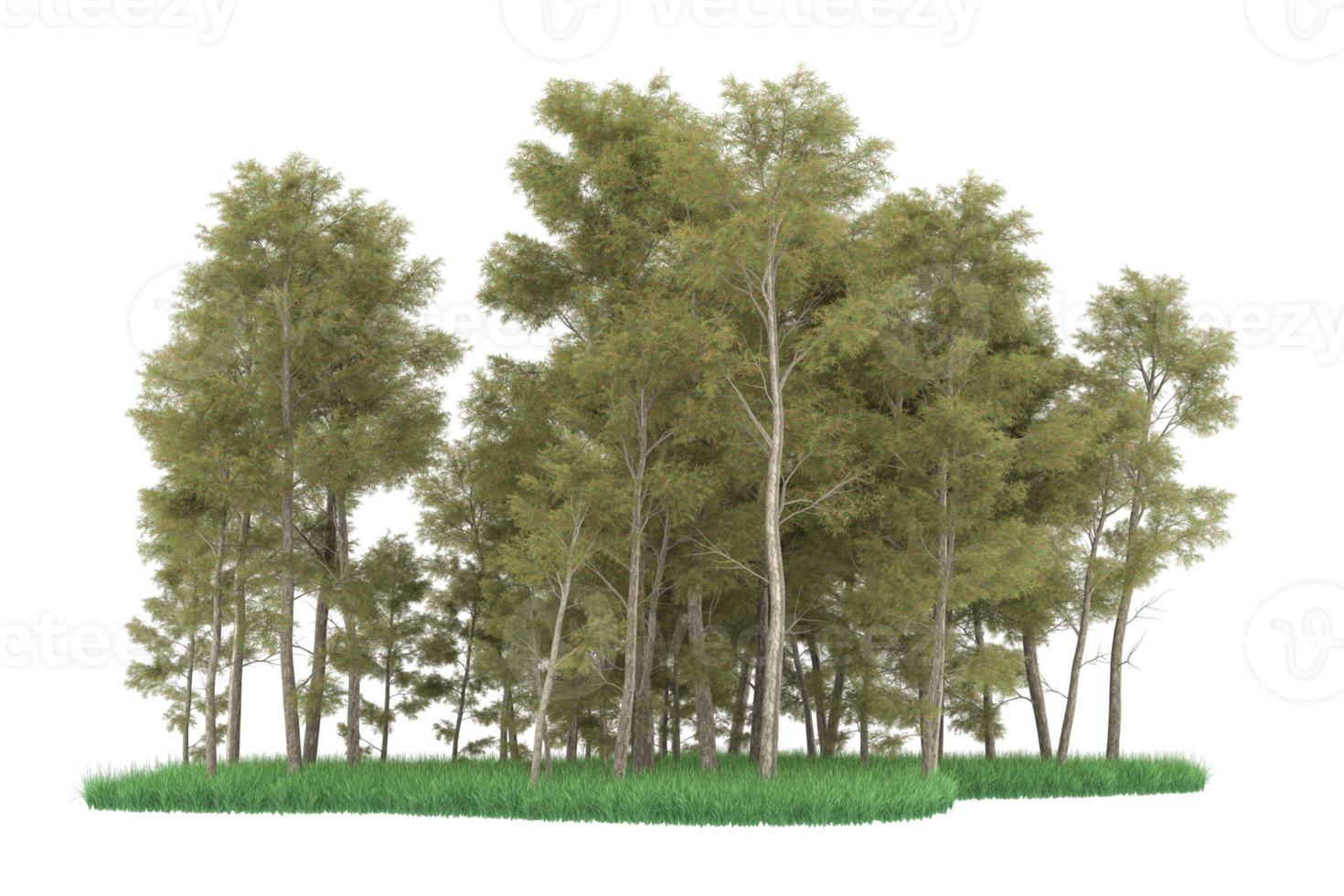 Realistic forest isolated on transparent background. 3d rendering - illustration png