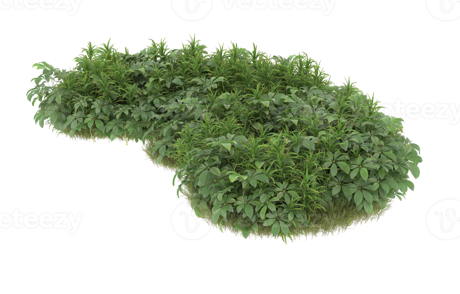 Realistic foliage isolated on transparent background. 3d rendering - illustration png