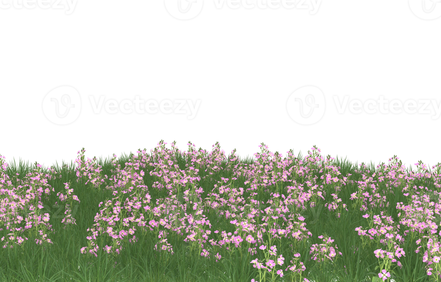 Realistic foliage isolated on transparent background. 3d rendering - illustration png