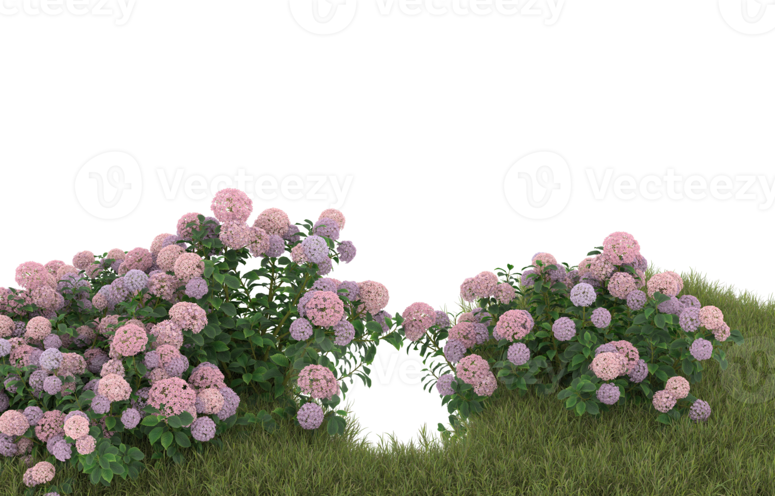 Realistic foliage isolated on transparent background. 3d rendering - illustration png