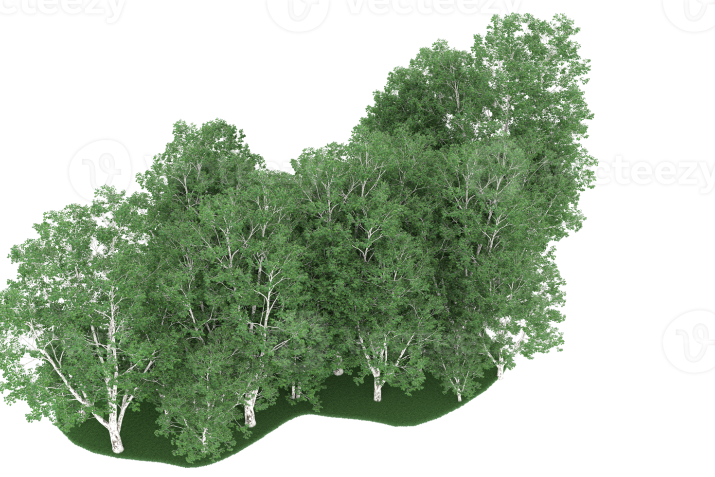 Realistic forest isolated on transparent background. 3d rendering - illustration png