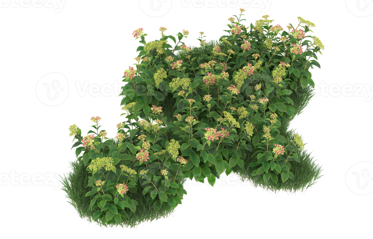 Realistic foliage isolated on transparent background. 3d rendering - illustration png