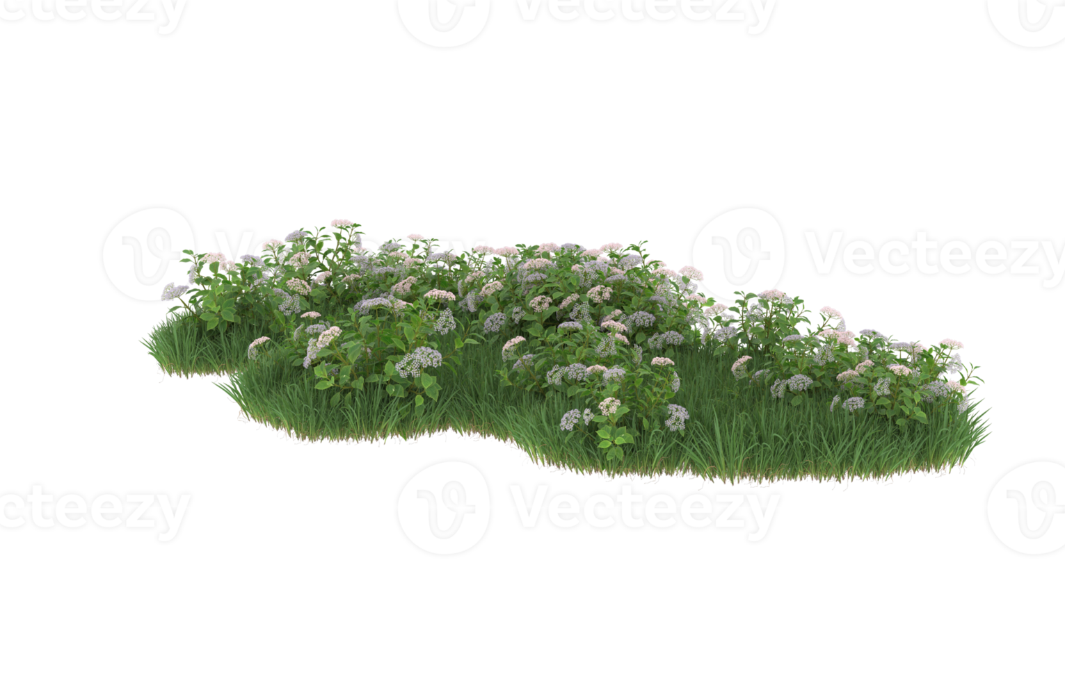 Realistic foliage isolated on transparent background. 3d rendering - illustration png