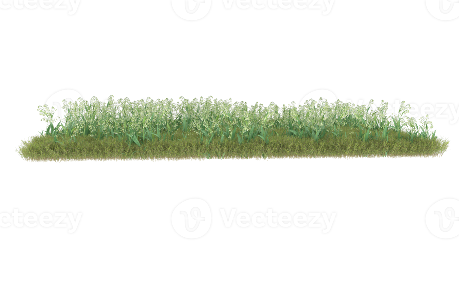 realistisk lövverk isolerat på transparent bakgrund. 3d tolkning - illustration png