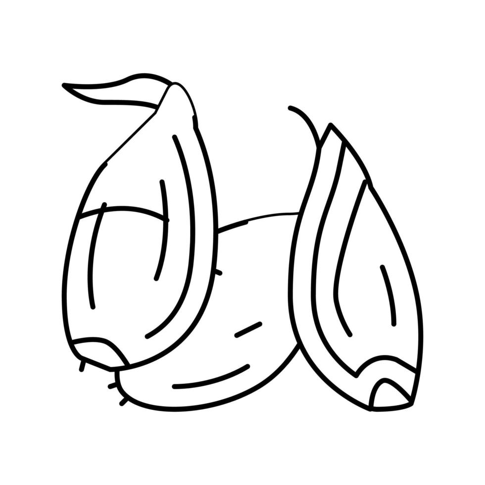 chalota cebolla línea icono vector ilustración