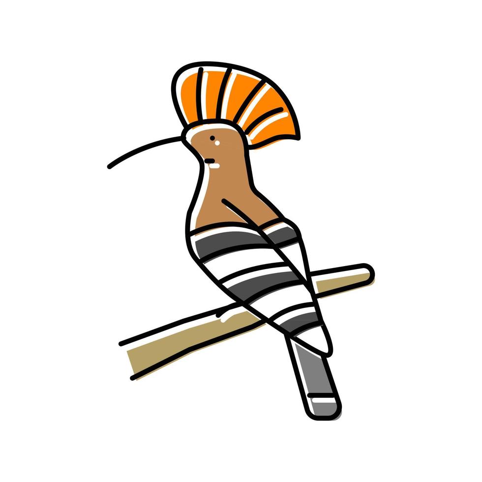 hoopoe bird exotic color icon vector illustration