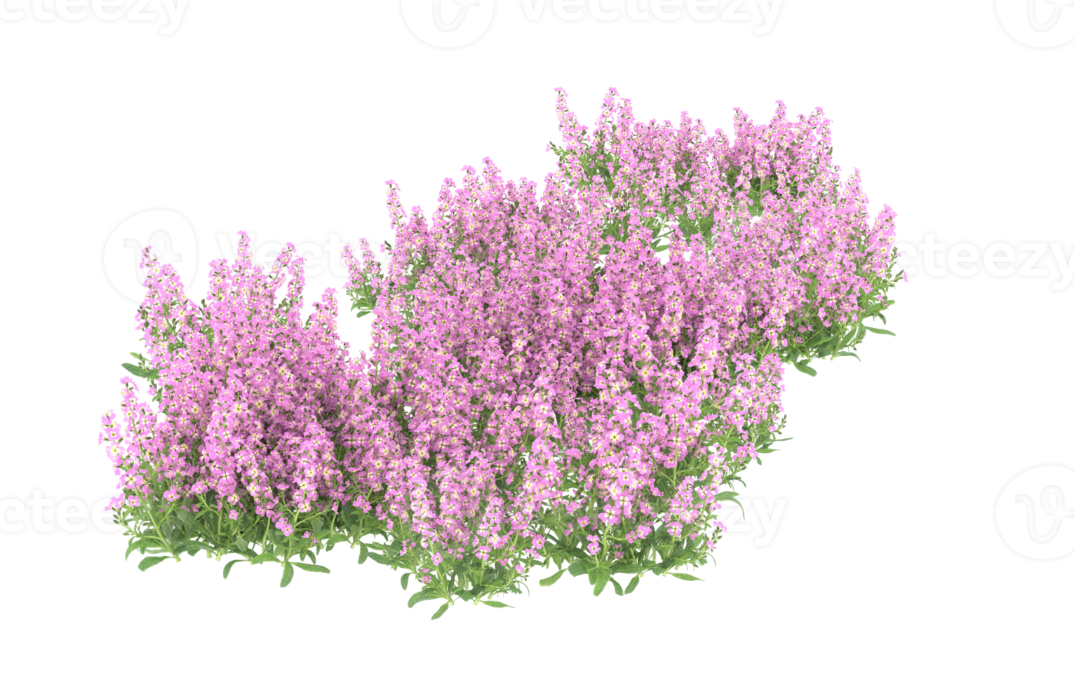 Realistic foliage isolated on transparent background. 3d rendering - illustration png