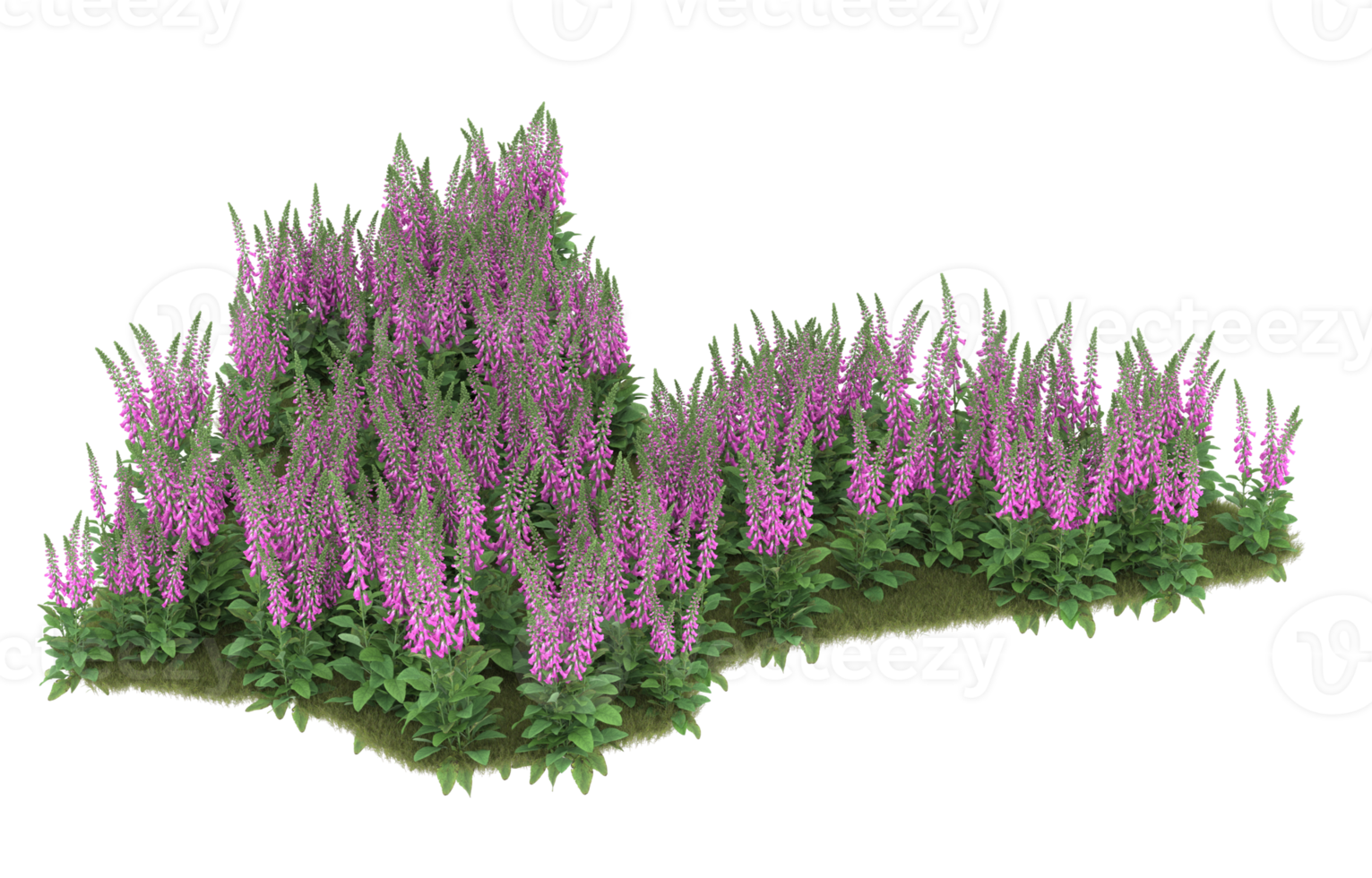 Realistic foliage isolated on transparent background. 3d rendering - illustration png