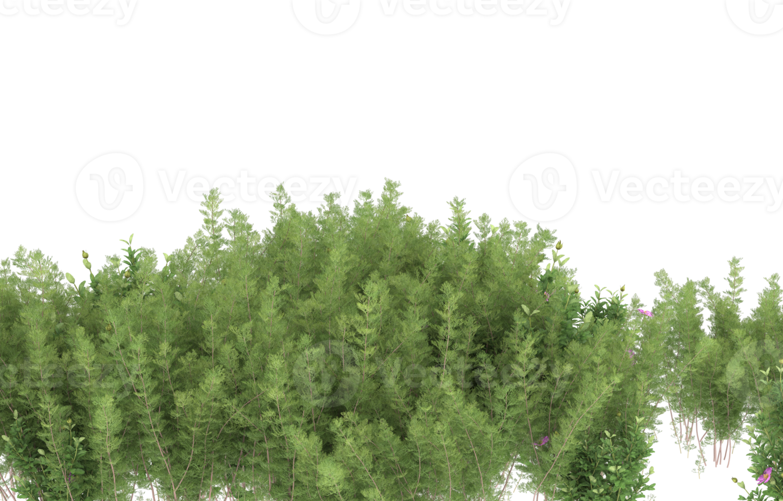 Realistic foliage isolated on transparent background. 3d rendering - illustration png