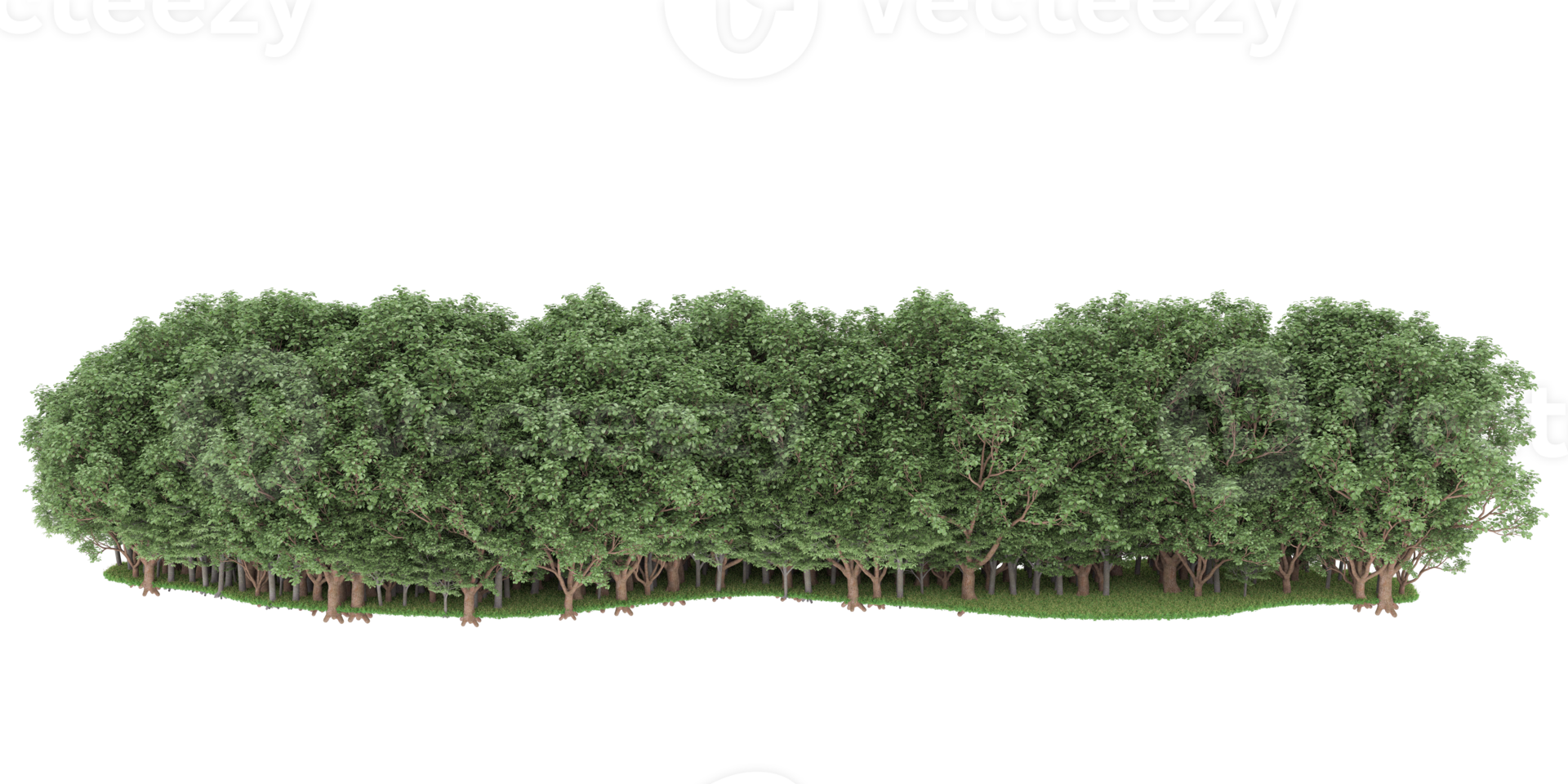 Realistic forest isolated on transparent background. 3d rendering - illustration png