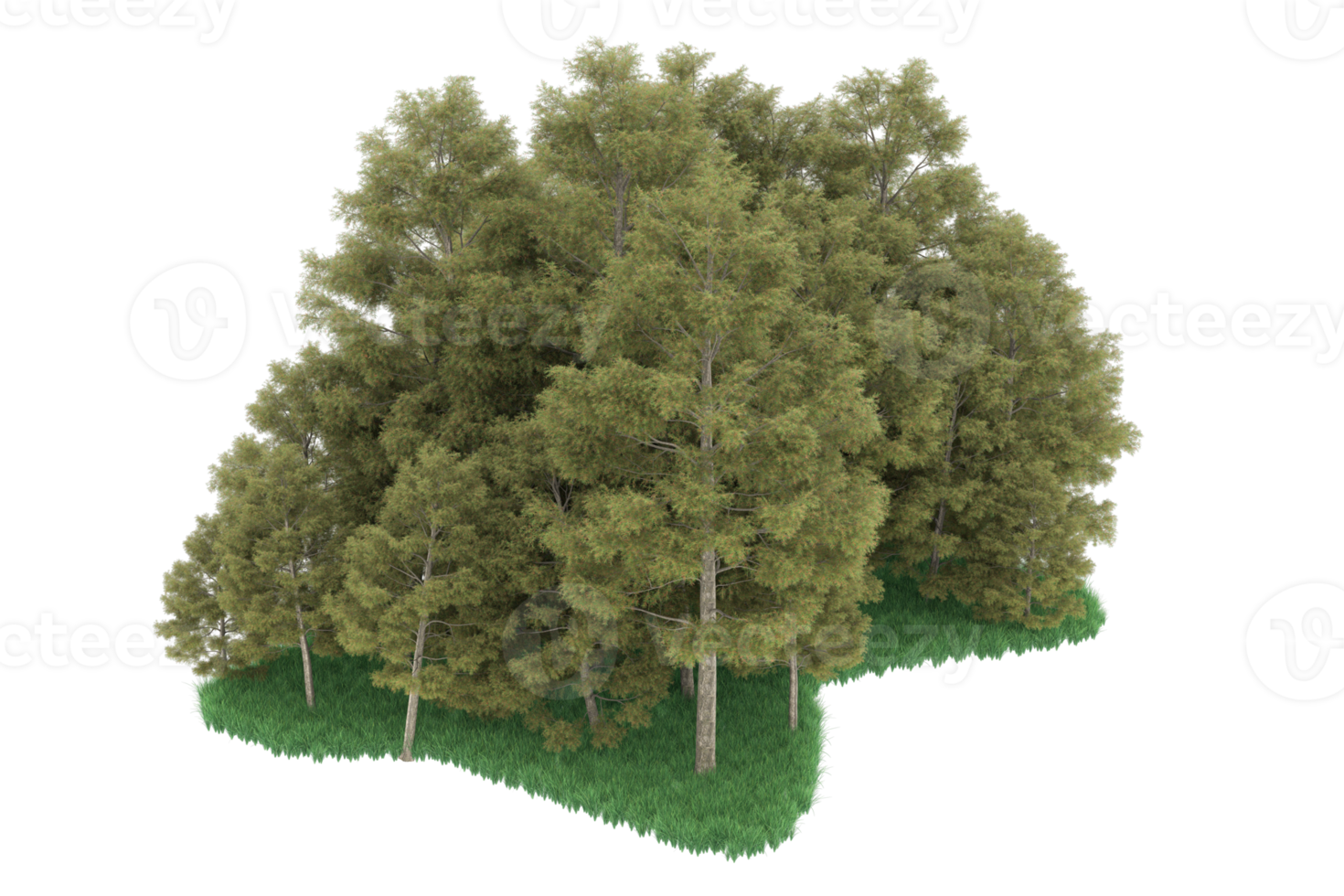 Realistic forest isolated on transparent background. 3d rendering - illustration png
