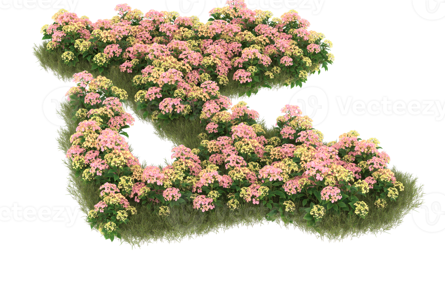 Realistic foliage isolated on transparent background. 3d rendering - illustration png