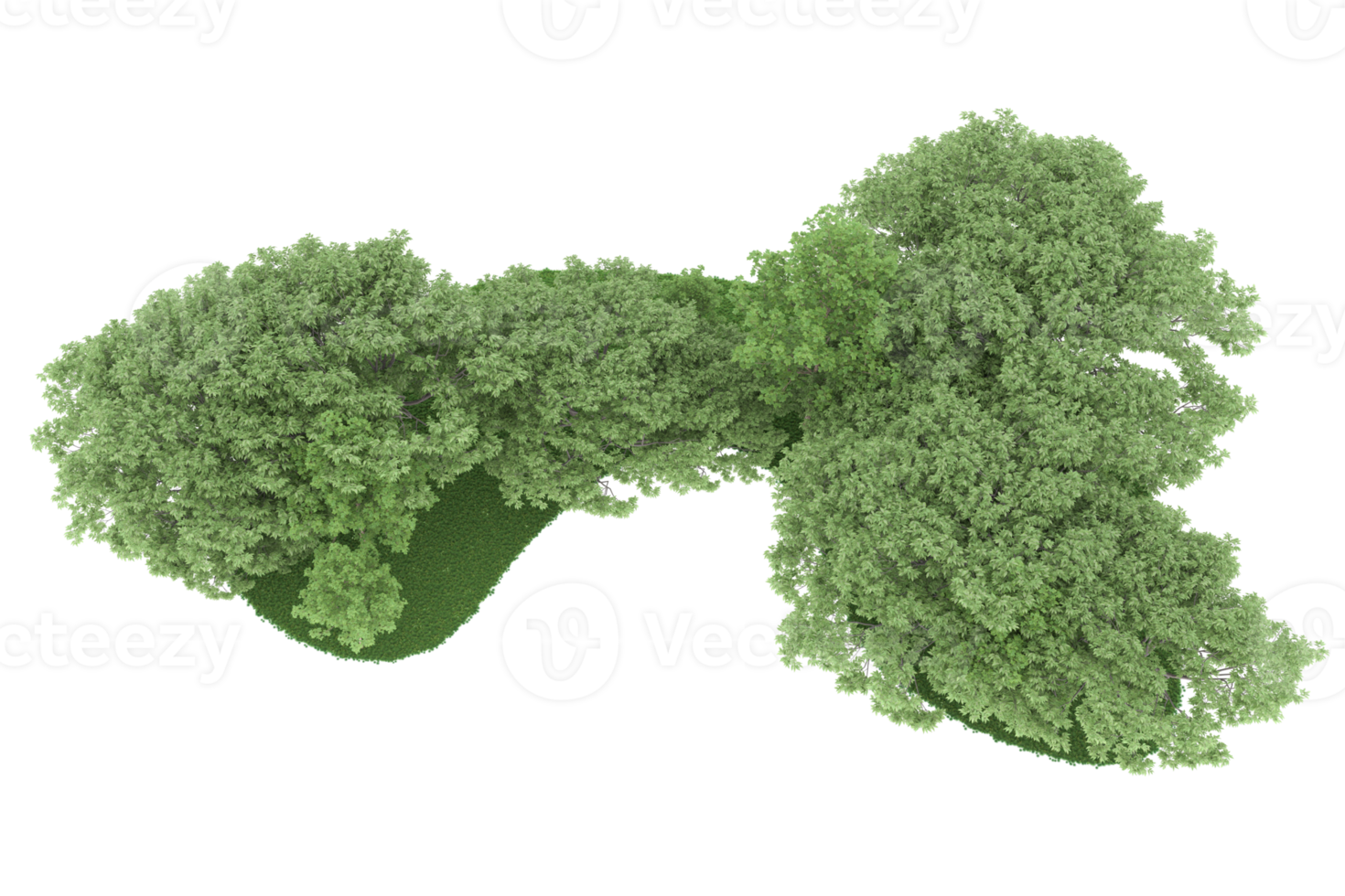 realistisk skog isolerat på transparent bakgrund. 3d tolkning - illustration png