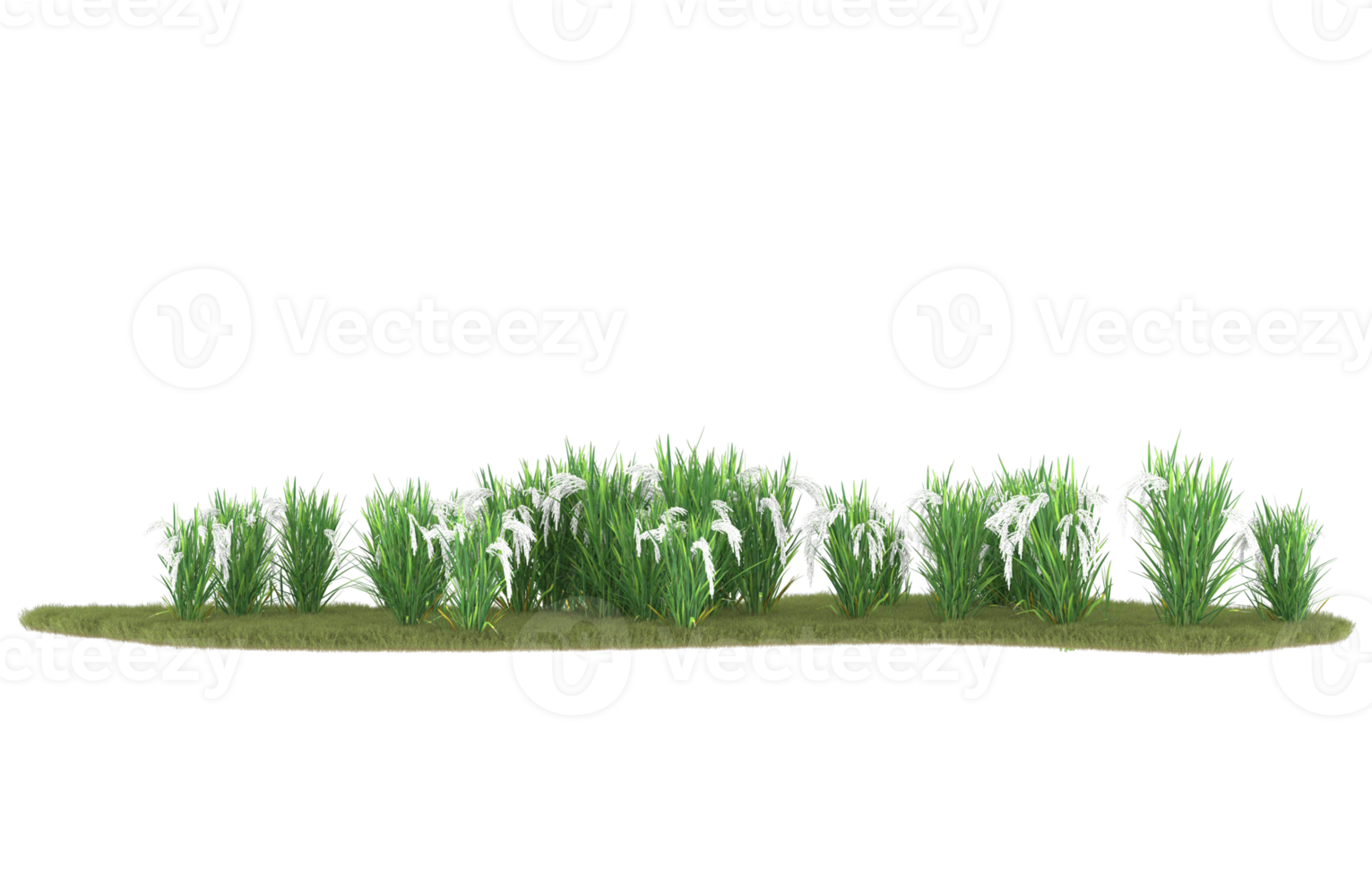 Realistic foliage isolated on transparent background. 3d rendering - illustration png