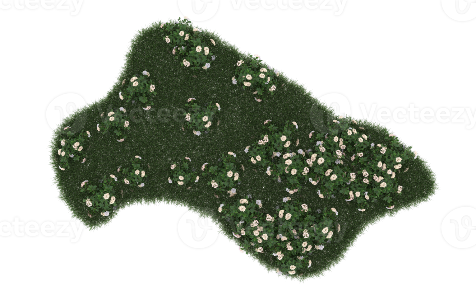 Realistic foliage isolated on transparent background. 3d rendering - illustration png