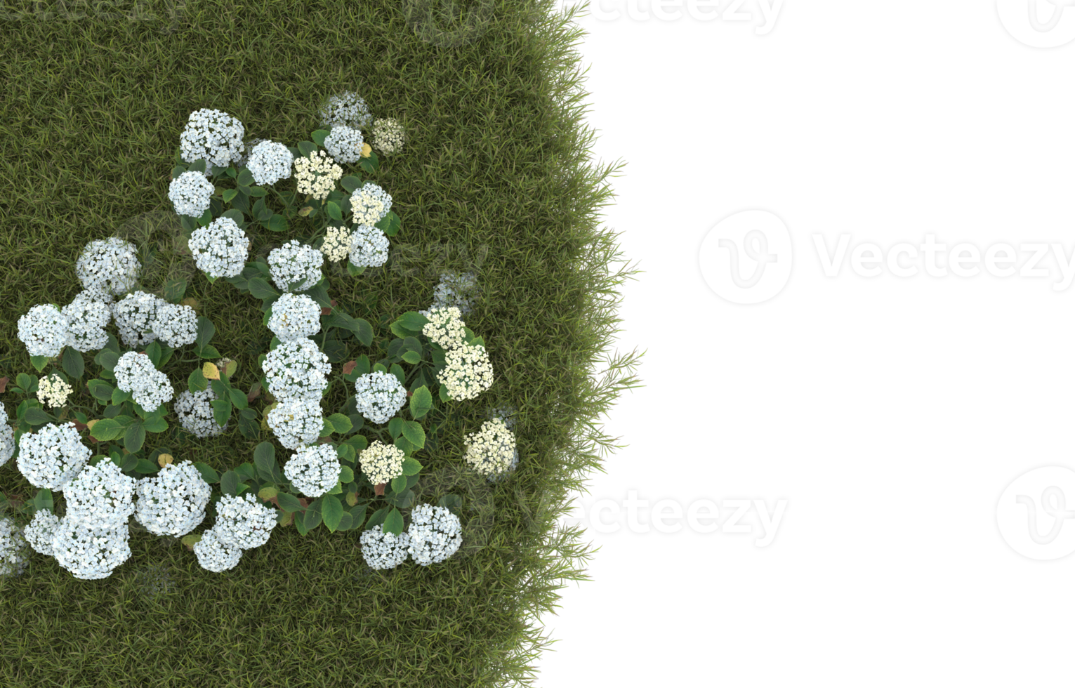 Realistic foliage isolated on transparent background. 3d rendering - illustration png