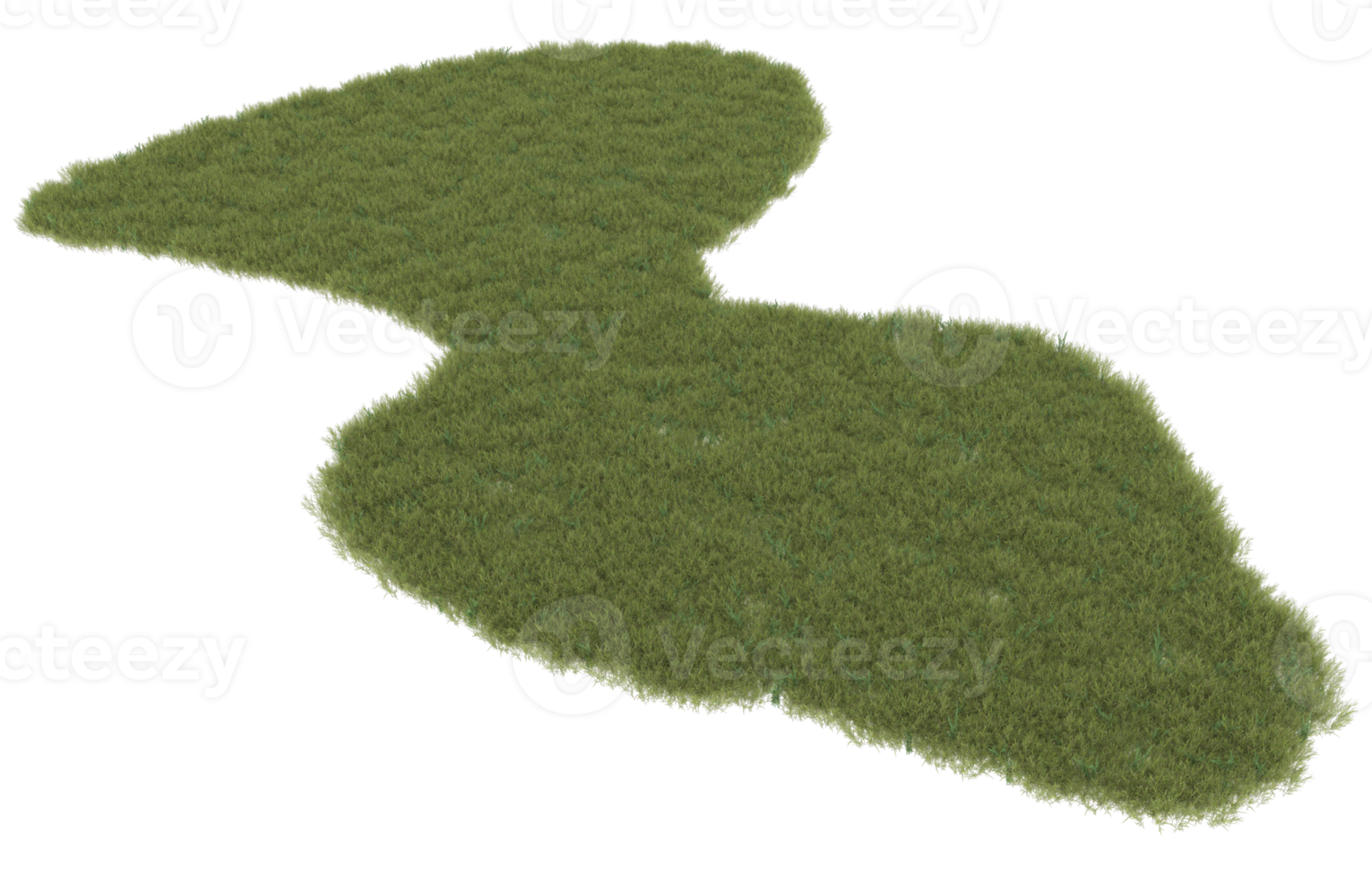 Realistic foliage isolated on transparent background. 3d rendering - illustration png