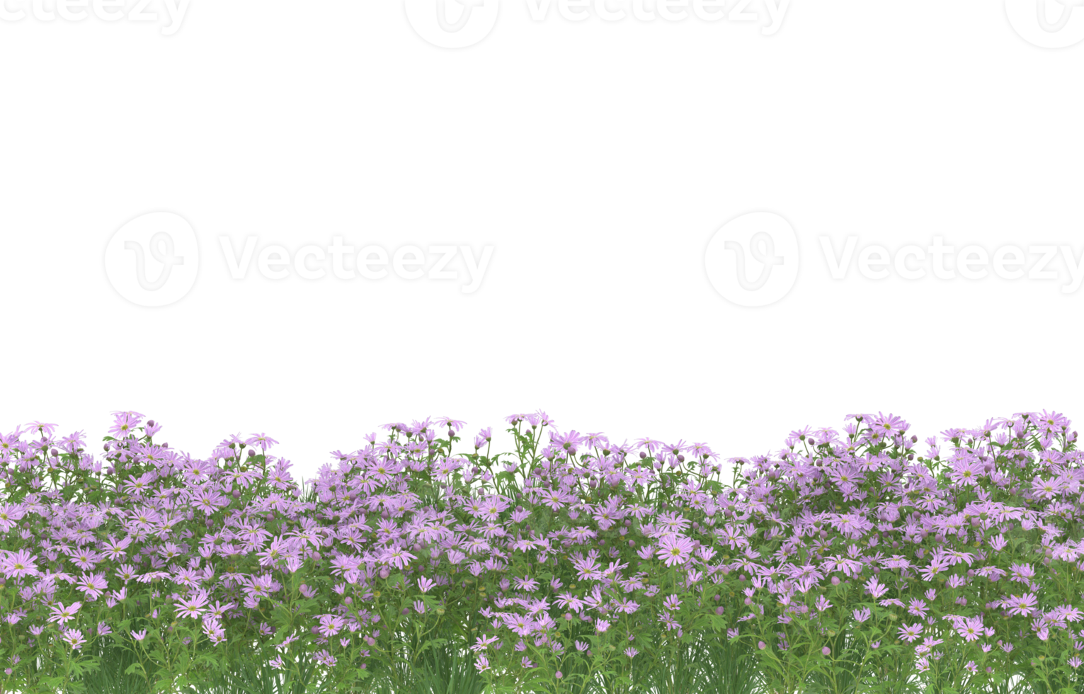 Realistic foliage isolated on transparent background. 3d rendering - illustration png