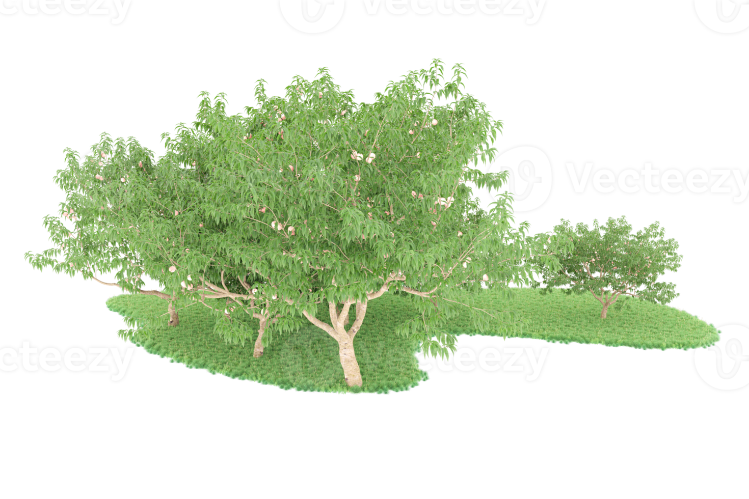 Realistic forest isolated on transparent background. 3d rendering - illustration png