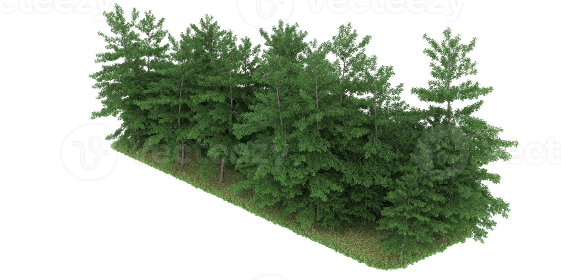 Realistic forest isolated on transparent background. 3d rendering - illustration png